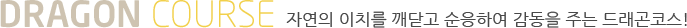 DRAGON COURSE �ڿ��� ��ġ�� ���ݰ� �����Ͽ� ������ �ִ� �巡���ڽ�!