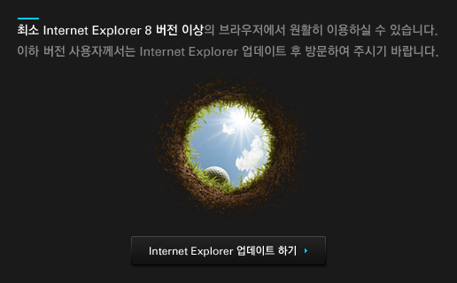 Internet Explorer ������Ʈ �ϱ�