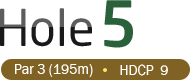 HOLE 5 / Par 3 (195m) / HDCP 9